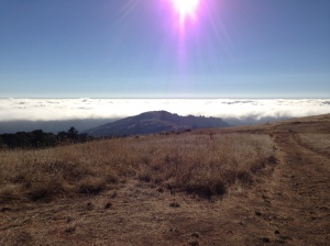 Fog covering the lowlands all the way to Monterey Bay.